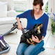 Illustration for article titled Why Bother Vacuuming the Floors When You Can Just Vacuum the Dog?